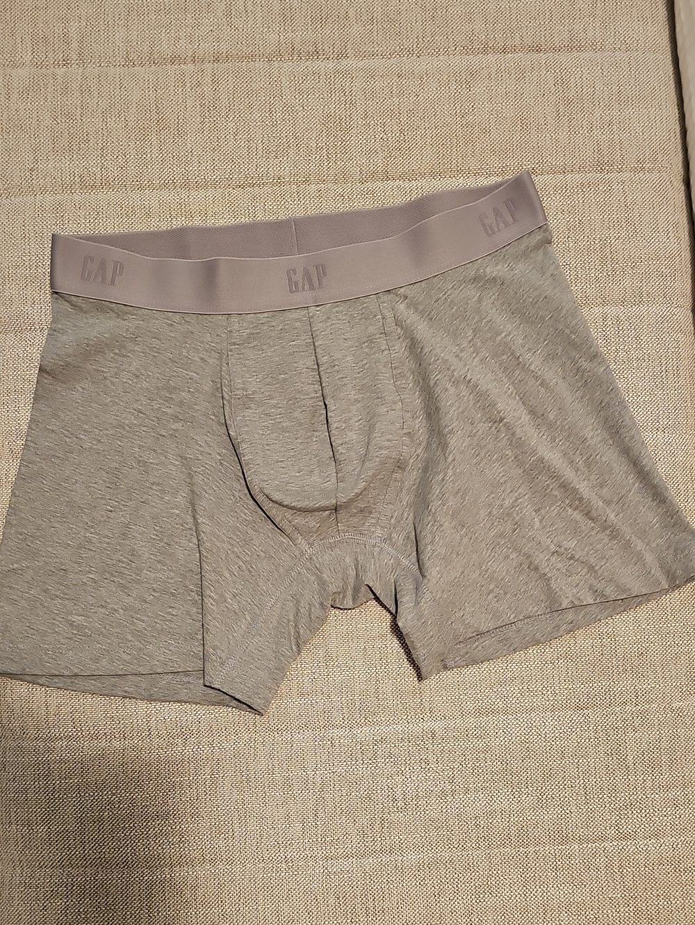 GAP Men’s Light Gray Boxer Briefs with Branded Waistband
